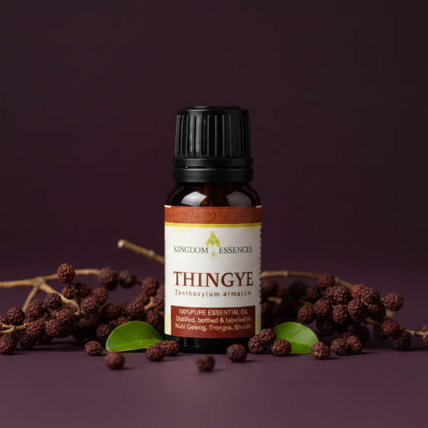 A bottle of Kingdom Essentials Thingye essential oil surrounded by dried berries and green leaves on a dark purple background.